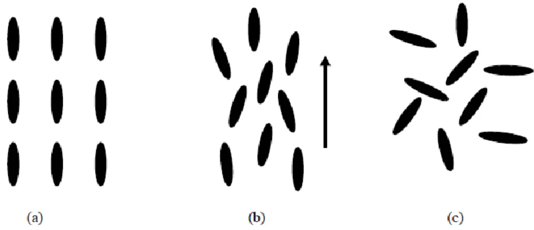 Figure 1-1 Schematic description of (a) crystal, (b) liquid crystal and (c) liquid. 
