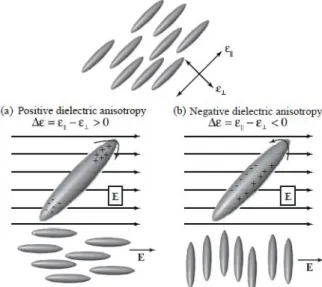 Figure 1-13: A graphical illustration of (a) positive and (b) negative dielectric anisotropy