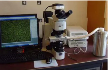 Figure 3-7: The Olympus BX-41 model; polarizing optical microscope POM. 