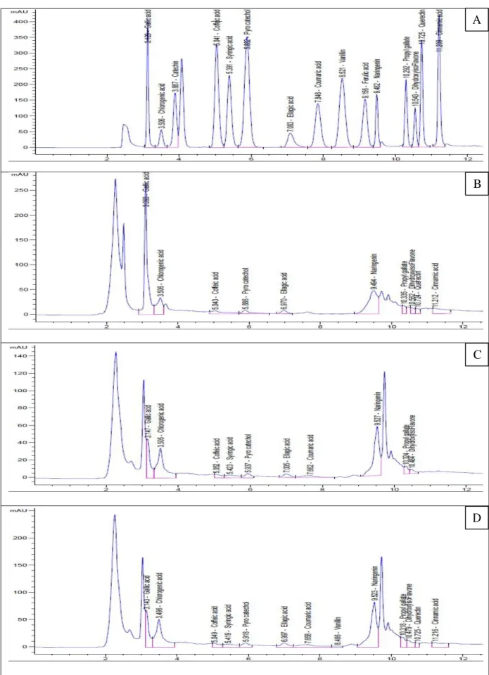 Figure 15 . HPLC chromatograms of the total polyphenols of (A) standard, (B) the aqueous,  (C) the ethanol 70% and (D) the methanol 70% extracts of C
