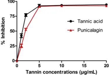 Fig. 4. Lowest energy conformations of a (left) and b (right) anomers of punicalagin. Geometries were optimized ab initio at the HF/6-31 þ G(d) level of theory.