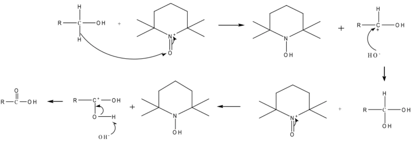 Fig. I.14. Schéma du mécanisme réactionnel de l'oxydation des alcools primaires par le  TEMPO (Chang &amp; Robyt, 1998)