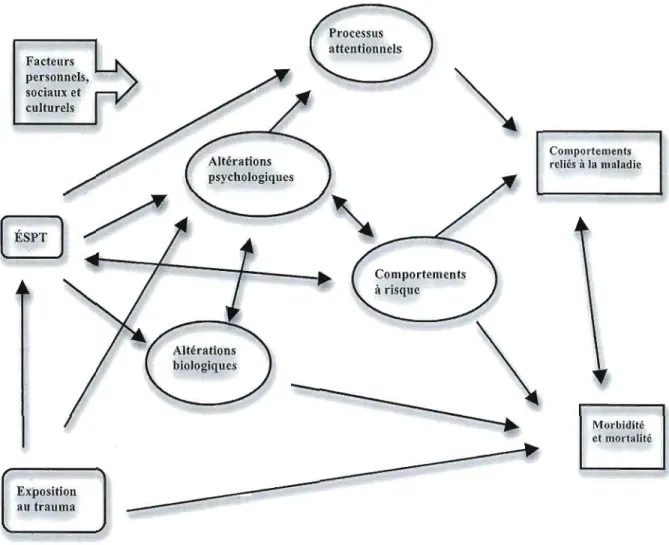 Figure C.1  Modèle explicatif des  liens entre l'exposition à un  événement traumatique,  l'ÉSPT  et les  problèmes de  santé selon  Schnurr et Green (2004) 