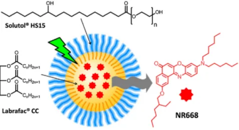 Fig. 1. Concept: lipid nanocarrier and the effect of light on the encapsulated Nile Red derivative NR668.