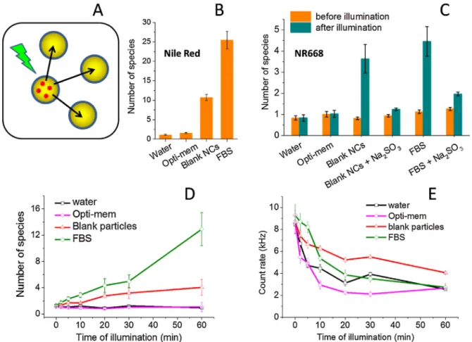 Fig. 4. Fluorescence correlation spectroscopy (FCS) studies of the light-induced dye release into model biological media