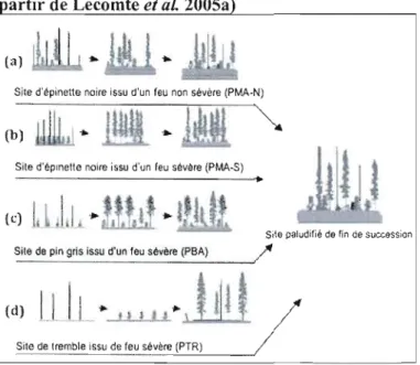 Figure  1 - Compositions  initiales  possibles  dans  la  pessière  à  mousse  (modifié  à  artir de Lecomte et aL  2005a 