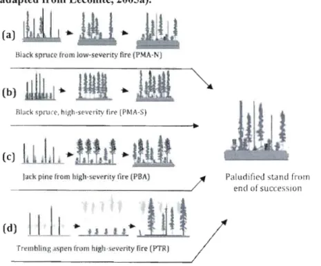Figure  1.2  - Four different initial  compositions observed  in  the  Clay Belt region  (adapted from Lecomte, 200Sa)