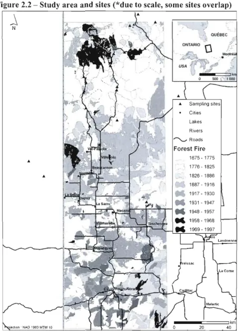 Figure 2.2 - Study area and sites (*due to  scale, sorne sites overlap)  !  QUÉBEC  ONTARIO  Sampling siles  Cilies  Lakes  Rivers  ~  Roads  Forest Fire  1675 - 1775  •  1776 - 1825  1826 - 1886 •  1B87  - 1916  1917 - 1930  1931  - 1947  1948 - 1957  195