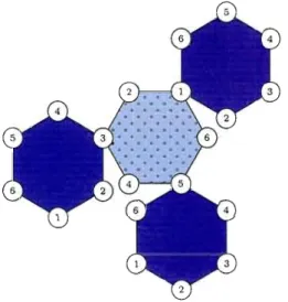 Figure  3.6  Un  6-cactus enraciné 