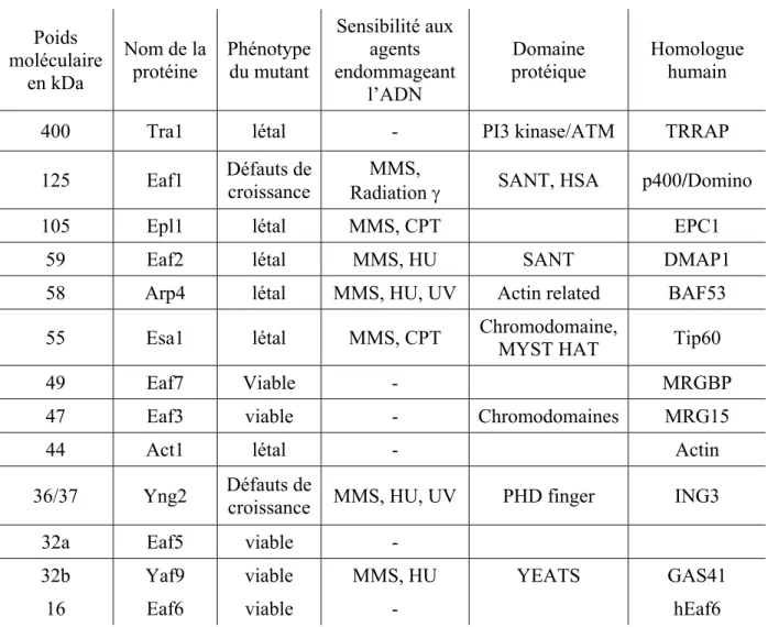 Tableau 1 : Les différentes sous-unités de NuA4 et leurs phénotypes. 