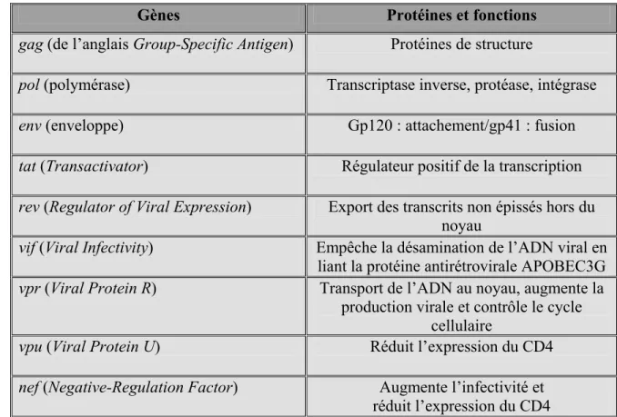 Tableau 2 Rôles des protéines virales [44, 45] 
