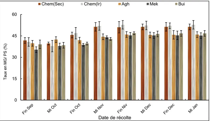 Figure 10.  Evolution des taux de MG/PS des quatre variétés (Chemlal issu de culture pluviale  (Chem sec)  et culture irriguée (Chem Ir), Aghenfas(Agh), Buichret (Bui), Mekki(Mek) au cours de 