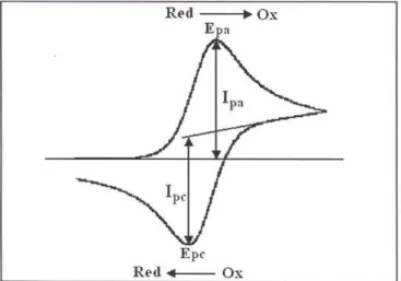 Figure 2 : Voltampérogramme cyclique pour un couple Ox-Red réversible 