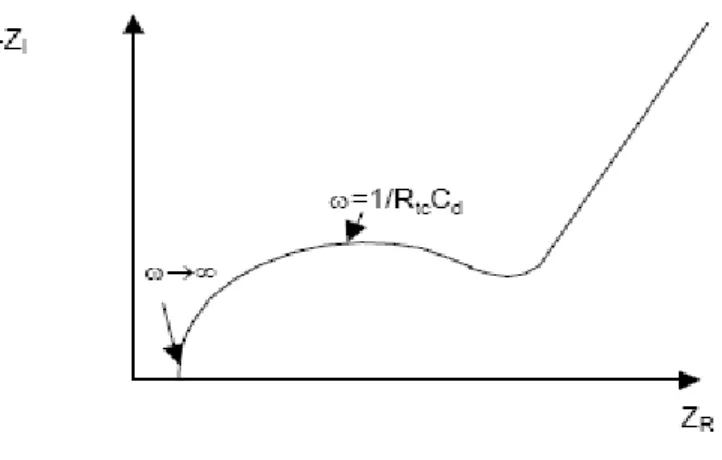 Figure 4 :  Diagramme de Nyquist de l’impédance pour un circuit de Randels [7].