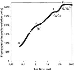 Figure  1.4  Cinétique rapide de  fluorescence  chlorophyllienne présentant les  transitions  0-1-1­