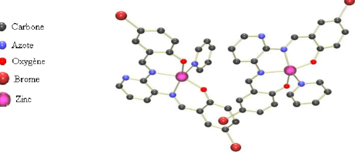 Figure I.9. Structure de l’unité asymétrique comportant les deux complexes de  Zn(II)-BS 