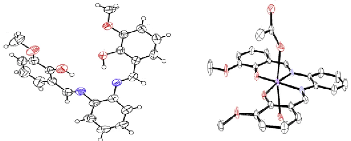 Figure I.27. Présentation ORTEP du ligand au pont benzène et son complexe   de manganèse correspondant