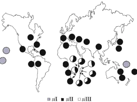 Figure  1.5  Fréquences  des  haplogroupes  d'ADNmt  de  D.simulans  (quand  plus  de  20  individus  ont  été  collectés  à  partir  d'un  seul  site  et  pendant  une  seule  période  d'échantillonnage)  (Tirée de  Ballard,  2004)