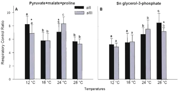 Figure  2.3  Effect  of  temperature  on  Respiratory  Control  Ratio  (RCR)  when  mitochondrial  preparations  fram  the  two  mitotypes,  sill  and  silll,  were  supplied  with  pyruvate+malate+proline  at  the  complex  1  level  (A)  or  with  sn  gl