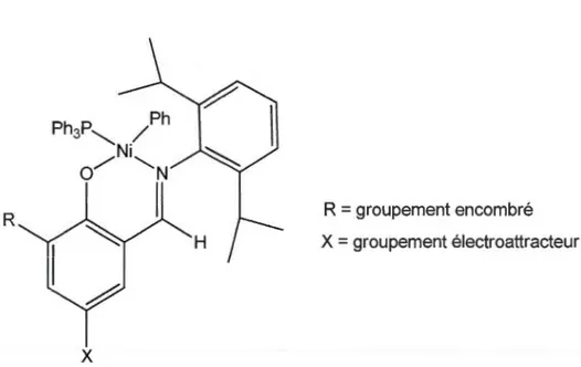 Figure  1.9  Exemple  d'un  complexe  neutre  de  Ni(II)  salicylaldimine  rapporté  par  le  groupe de Grubbs