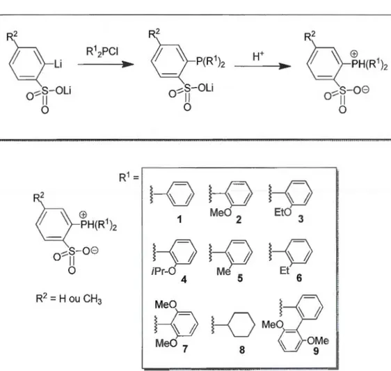 Figure  1.15  Série  de  ligand  phosphine d'aryle  et d'alkyle  sulfonate rapporté dans  la  littérature ainsi que leur synthèse générale