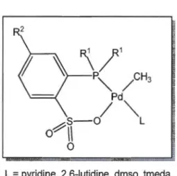Figure  1.16  Structure des catalyseurs de palladium avec  un  ligand phosphine d'aryle  et d'alkyle sulfonate rapportés dans la littérature