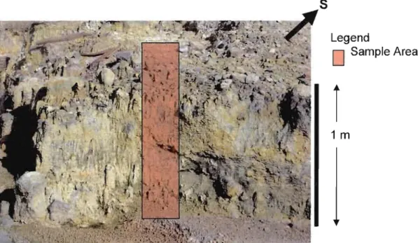 Figure  2.  Picture  of hydrothennal  deposit  in  the  Maritaro  hydrothennal  springs  where  the  core was extracted 