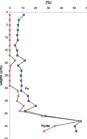 Figure 7. Correlation between pyrite and iron within the core 