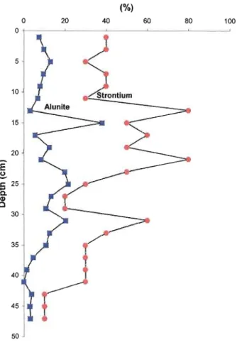 Figure 9.  Correlation between strontium and alunite within the core 