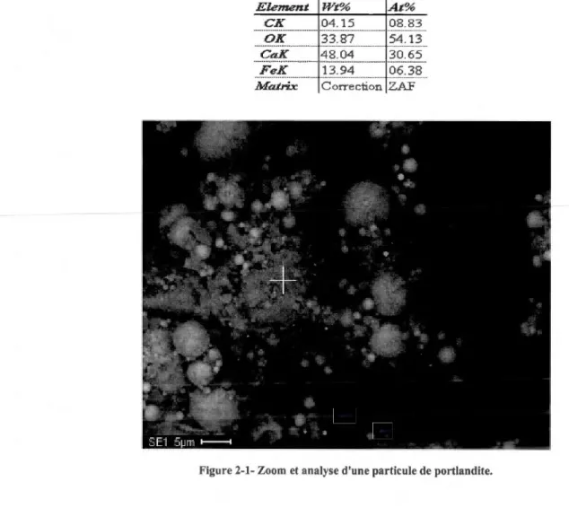 Tableau 2-2- Composition atomique d'une particule de portlandite issue du  résidu  minier