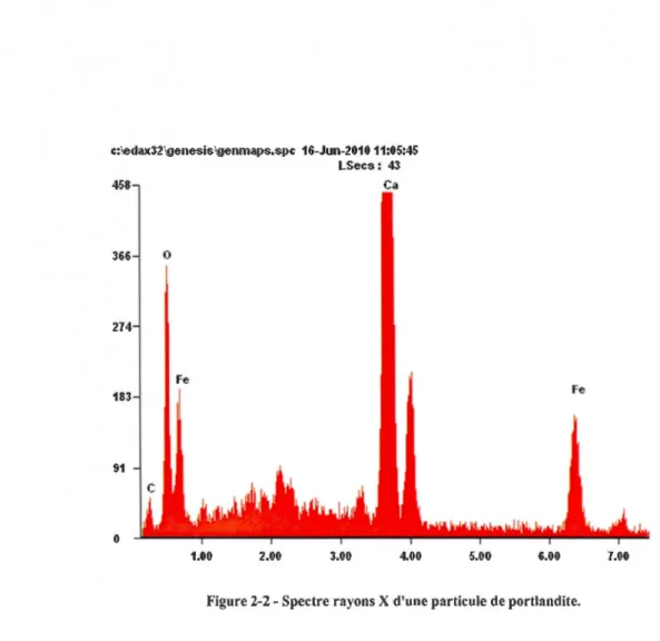 Tableau 2-3- Composition atomique d'une particule de goethite ou  d'amakinite. 