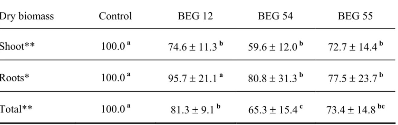 Table 3.1.   Dry biomass (± 1 SD) of control and Glomus mosseae BEG 12, BEG 54 and  BEG 55 treatments expressed as percentage of control