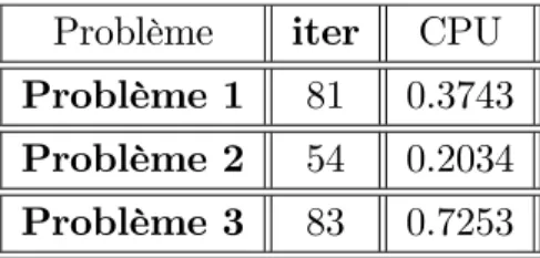 Tableau 6. Résultats numériques pour l’Algorithme 2.4.4 à petit pas.