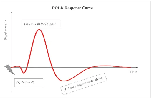 Figure 0.1 Outline of the BOLD response curve.  