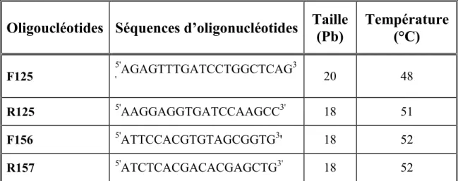 Tableau  3  :  Les  séquences  des  différents  oligonucléotides  utilisés  pour  les  amplifications des gènes de l’ARNr 16S des souches d’actinomycètes