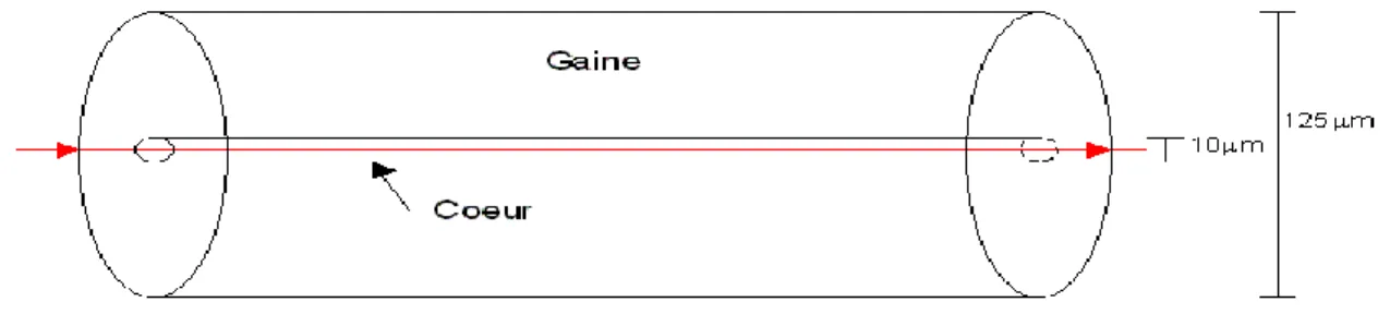 Figure 1.2.  La fibre monomode[6]. 