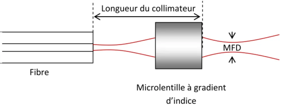 Figure 1.16. Fibre optique et microlentille à faces parallèles [31]. 