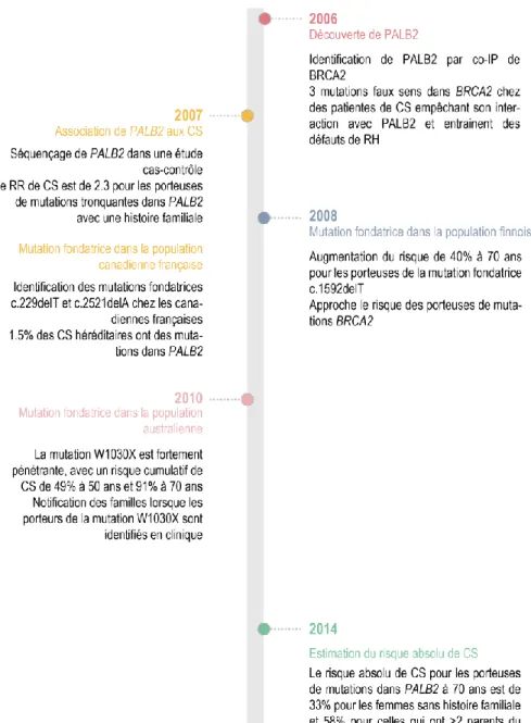 Figure 7 – Chronologie de l’association de PALB2 au cancer du sein 