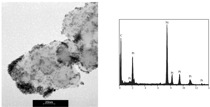 Figure 44: Distribution des tailles des nanoparticules dans 20%Pt/PPy sans traitement thermique 