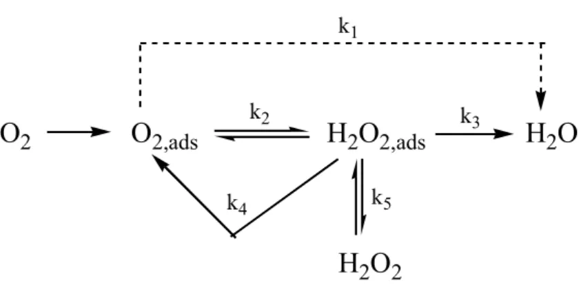 Figure 3 : Chemin réactionnel de la réaction de réduction de l'oxygène [32]. 
