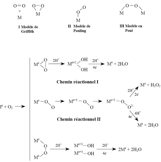 Figure 4: Chemins réactionnels possibles en fonction du mode d'adsorption de l'oxygène sur le  catalyseur