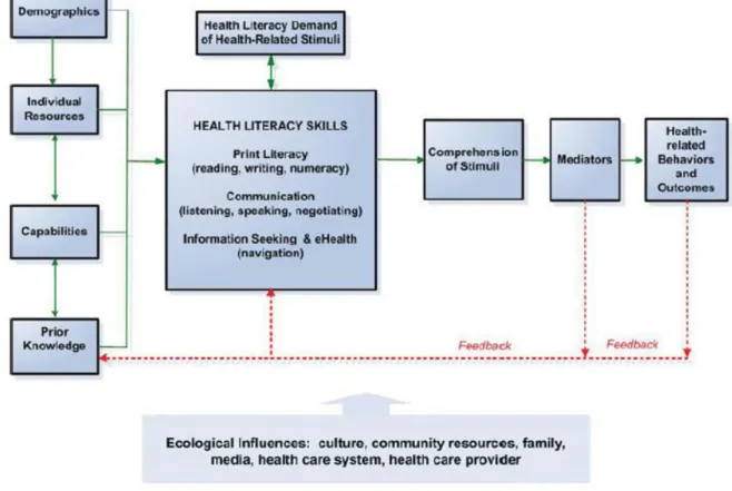 Figure 3: The health literacy skills conceptual framework [22] 