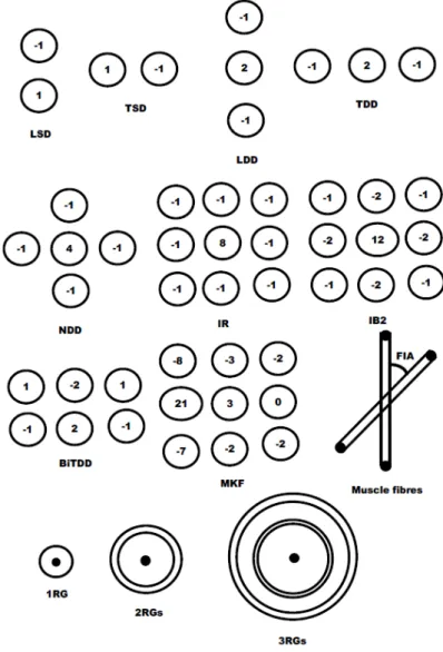 Fig. 2. 2. Les systèmes utilisés pour la détection non invasive des signaux EMG de surface