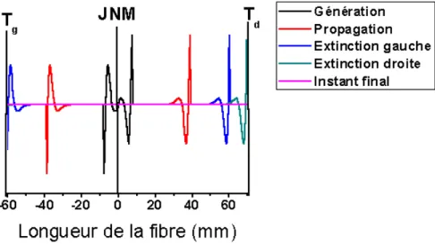Fig. 2. 4. Phénomène de génération, propagation et extinction de la première dérivée de l’IAP