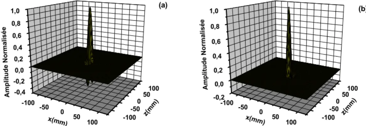 Fig. 2. 12. La valeur absolue de la transformée de Fourier inverse 2D du potentiel détecté à la surface de la peau