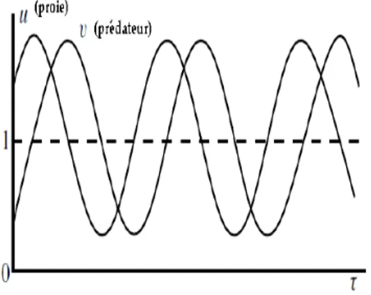 Fig. 2.5 : Une sol. priodique de (2:6)