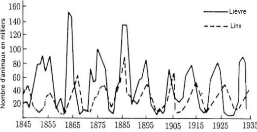 Fig. 2.6 : Les ‡uctuations du nombre de peaux vendues par la Compagnie de la Baie d’Hudson