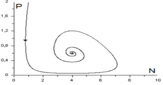 Fig. 2.11 : Coexistence des deux populations