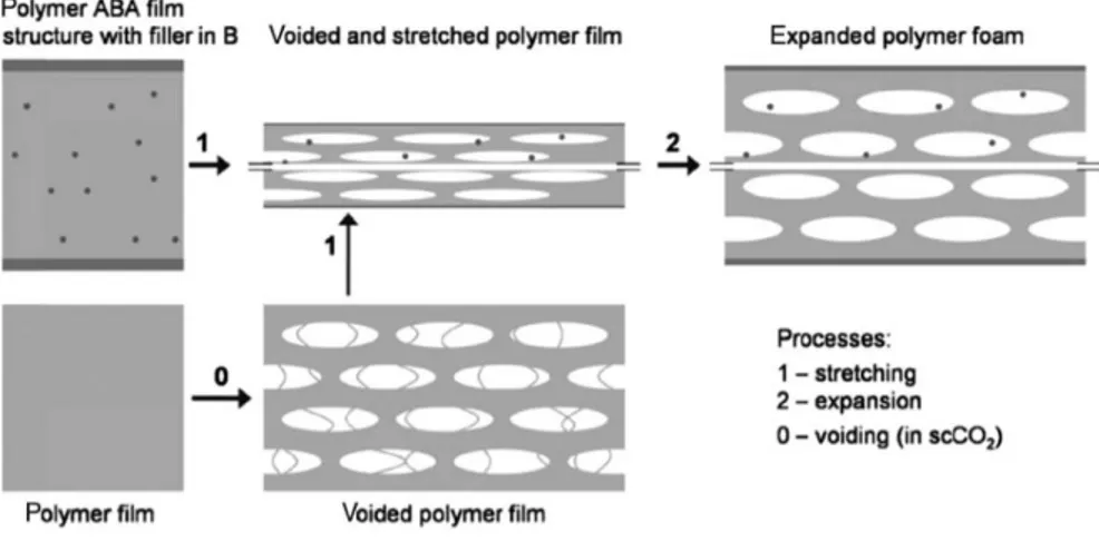 Figure 1.4 Production of a cellular structure by stretching a filler loaded polymer (process  1)  or  foaming  by  a  physical  blowing  agent  (supercritical  carbon  dioxide,  CO 2 )  [Wegener  2010]