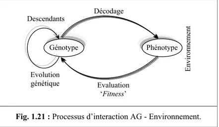 Fig. 1.21 : Processus d’interaction AG - Environnement. 